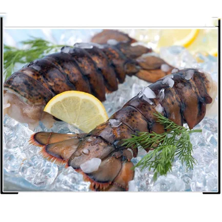 Seafood Fresh and frozen Lobster, LIVE and FRESH LOBSTER