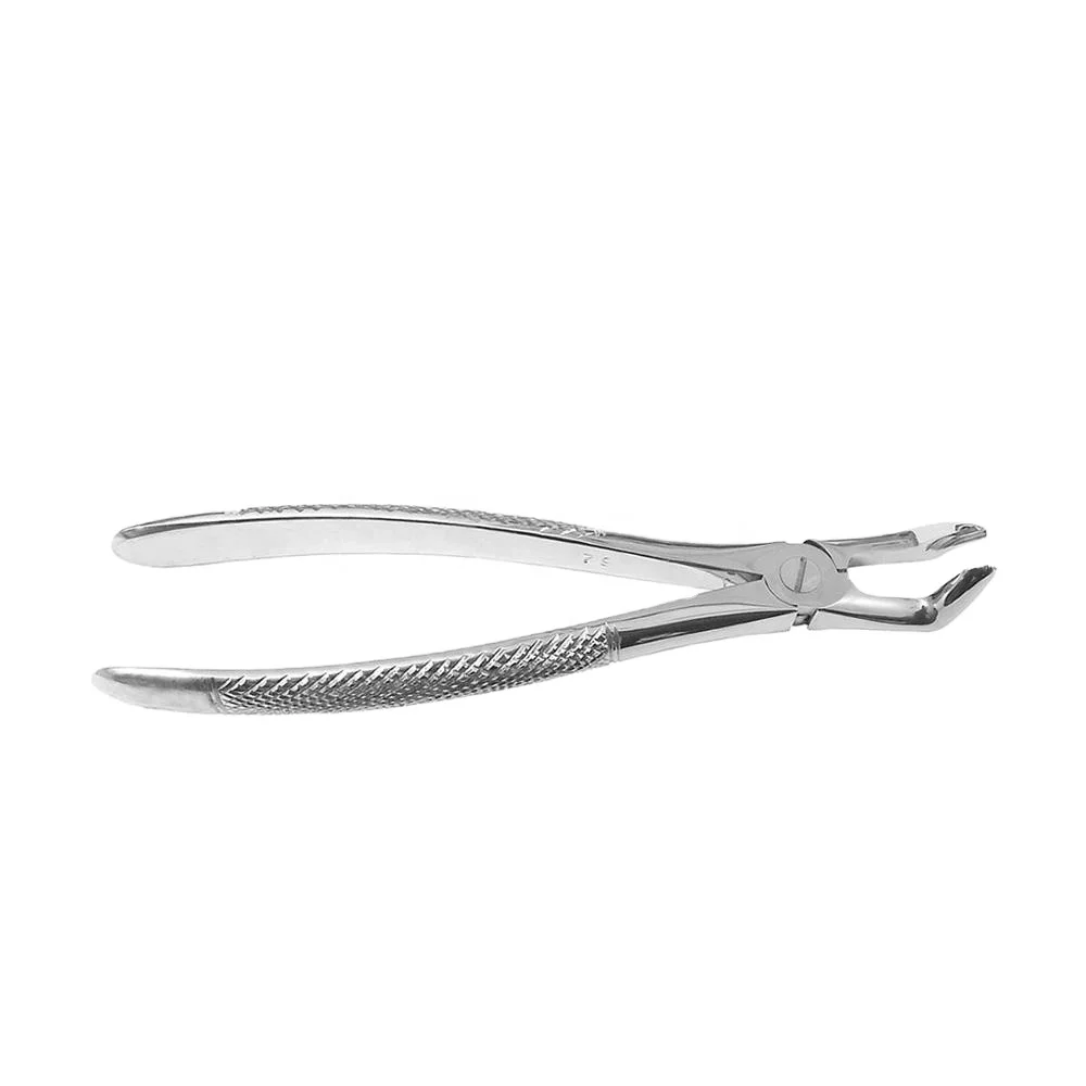 Hot Selling 1 Premium Export Quality Dental Instruments Adult Tooth Extracting Forceps Tooth Extracting Forceps