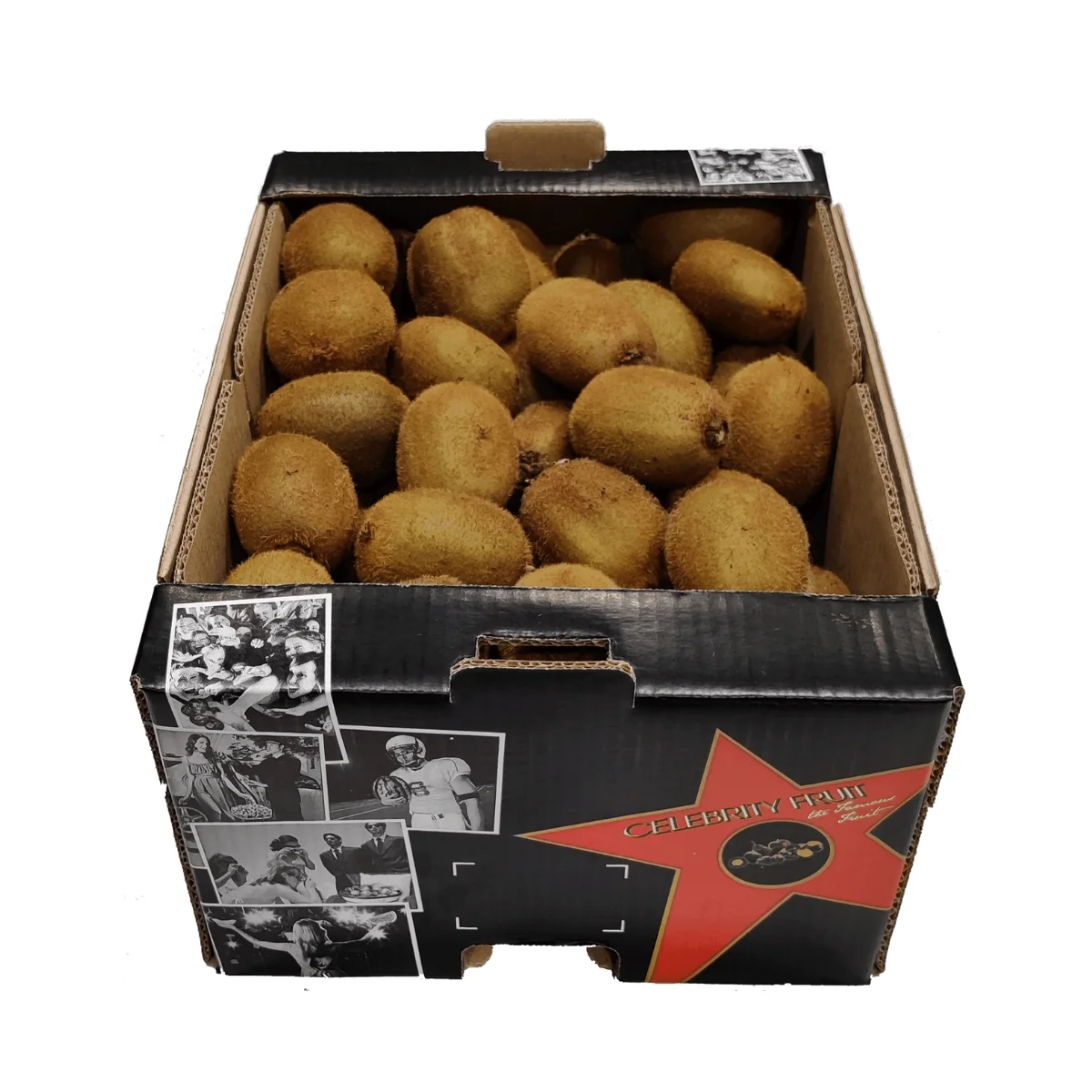 Italian Hayward Fresh Kiwi, 27 size, 105-115 grams, 9Kg Celebrity Fruit loose box, Green Actinidia chinensis