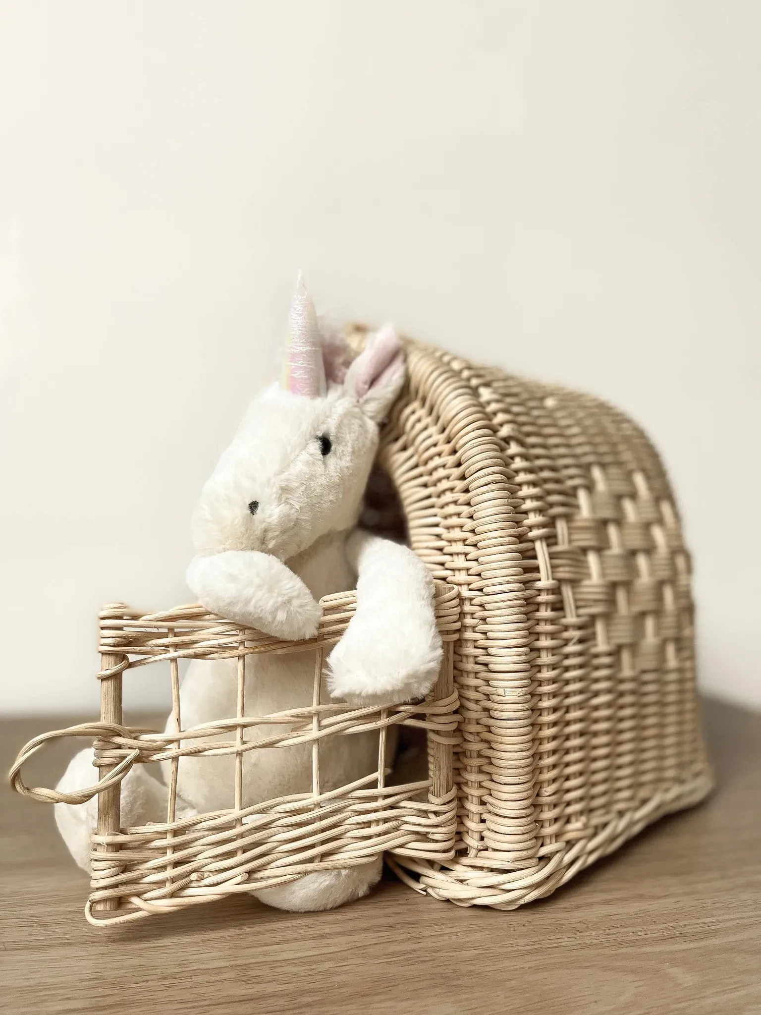 Custom comfortable rattan wicker pet carrier backpack bag accessories with cushion for export