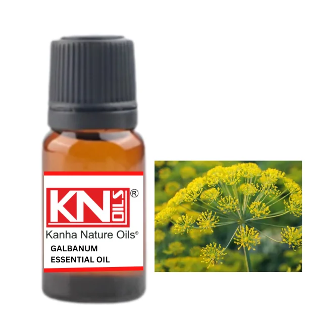 Buy Bulk GALBANUM ESSENTIAL OIL Best In Quality Available For Whole Sale Price from indian popular manufacturer