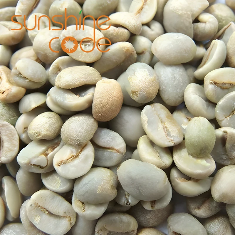 Sunshine Code Coffee Green Beans Arabica Raw Beans Price 60Kg Green Coffee Import With Free Sample