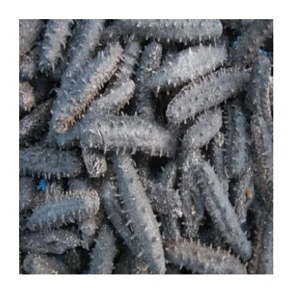 Factory Supply Bulk Wholesale Price Top Quality Dried Sea Cucumber (Seafood) Available For Sale