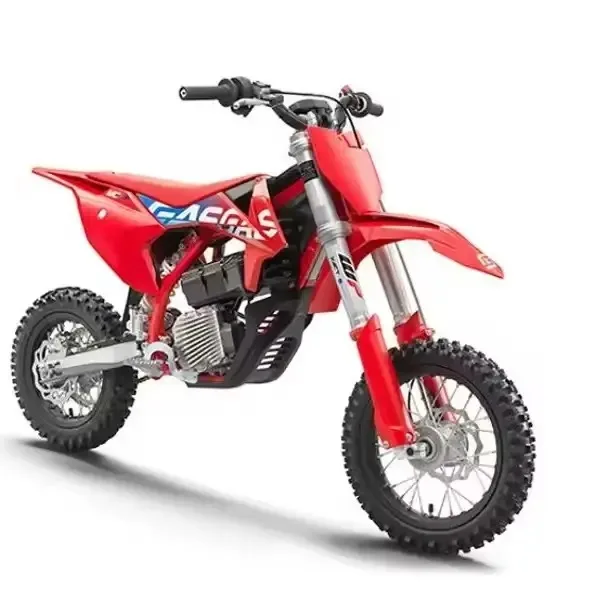 Лидер продаж SC 450cc 4-тактный газовый MC-E 5 DirtBike