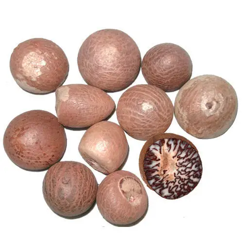 High Quality Betel Nuts (Whole & Split) Best Price for sale