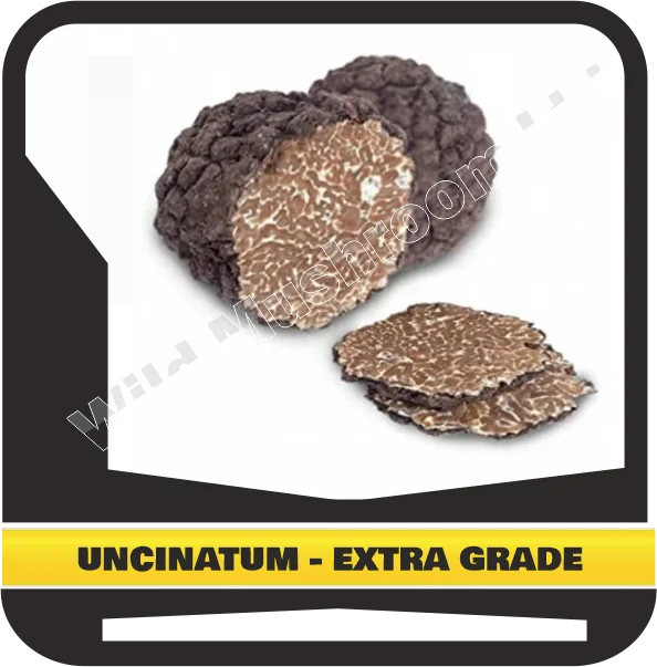FRESH BLACK WINTER TRUFFLES UNCINATUM - EXTRA GRADE
