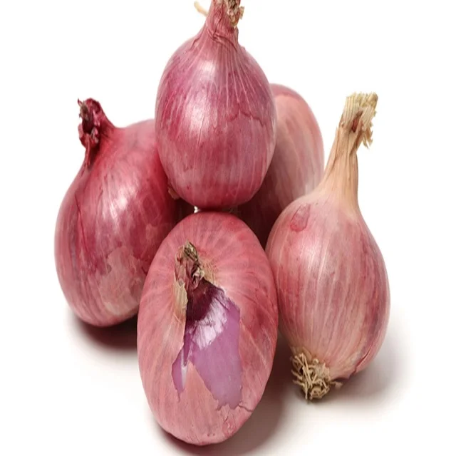 Fresh Red Onion Importers Fresh Vegetables Onion Wholesale Red Onion With Good Price