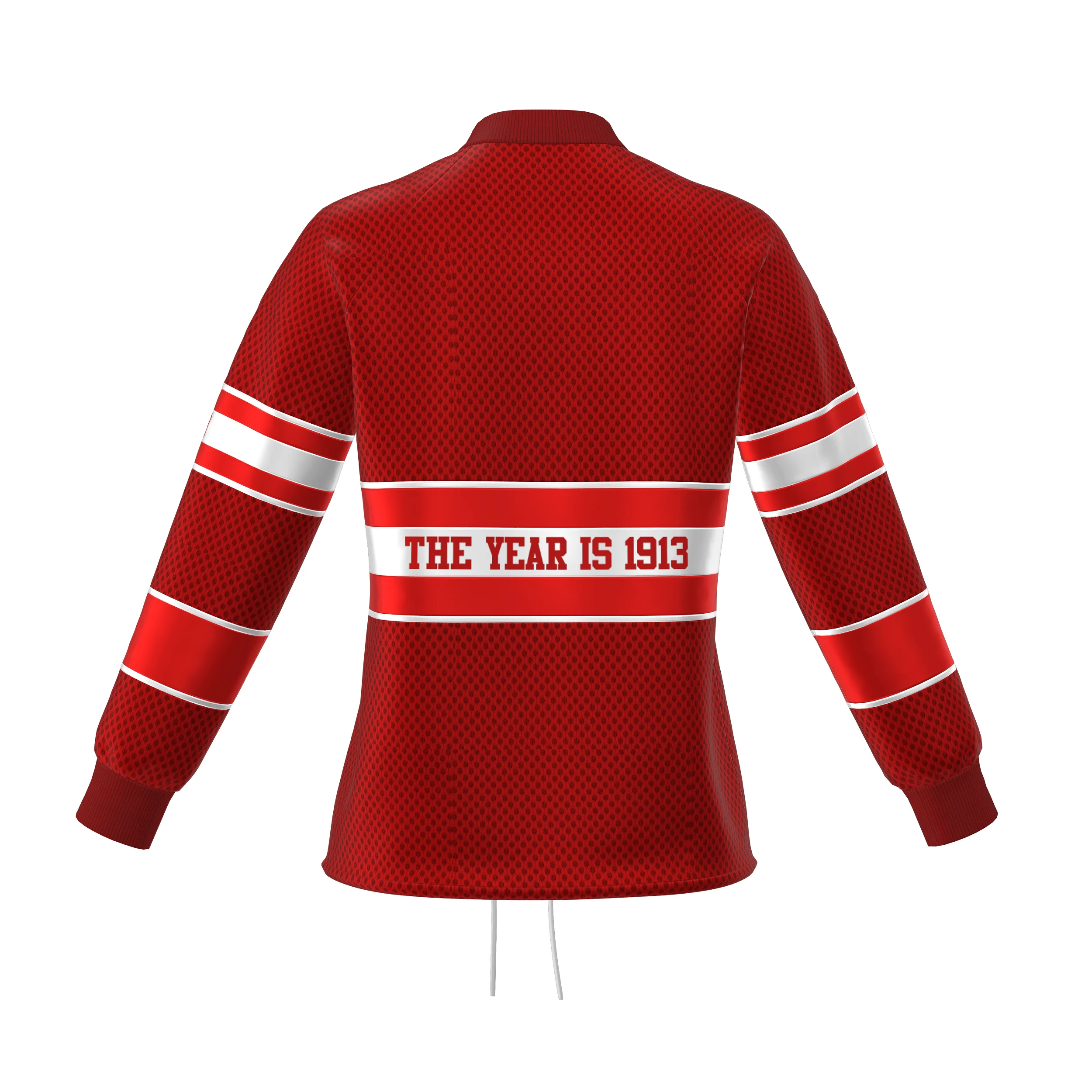 J13 Delta Sigma Theta DST Panel Mesh Jacket