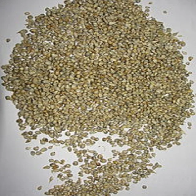 High quality natural green millet bajra at wholesale cheap Price Available for sale