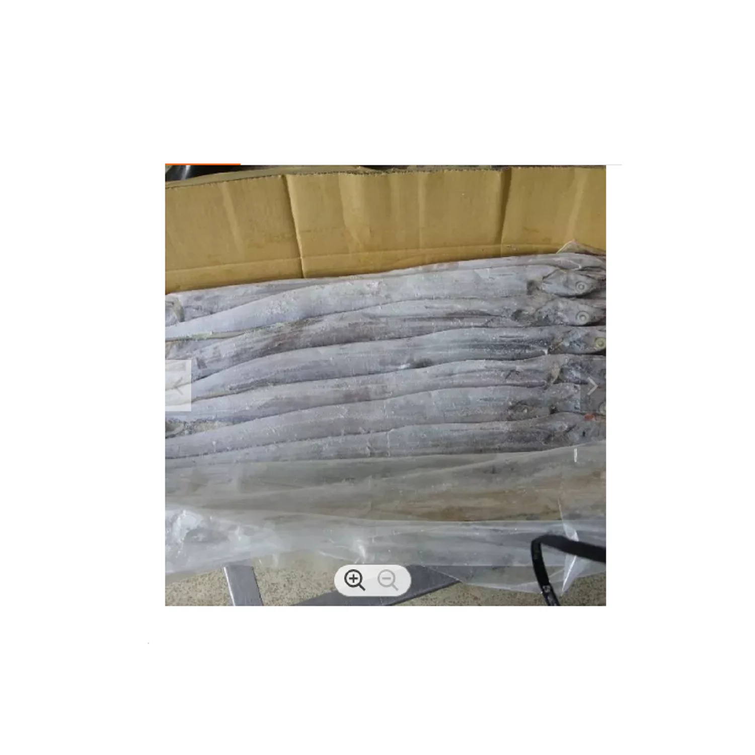 frozen ribbon fish high quality Package Weight Lbs Shelf all natural for human consumption no salt frozen ribbon fish