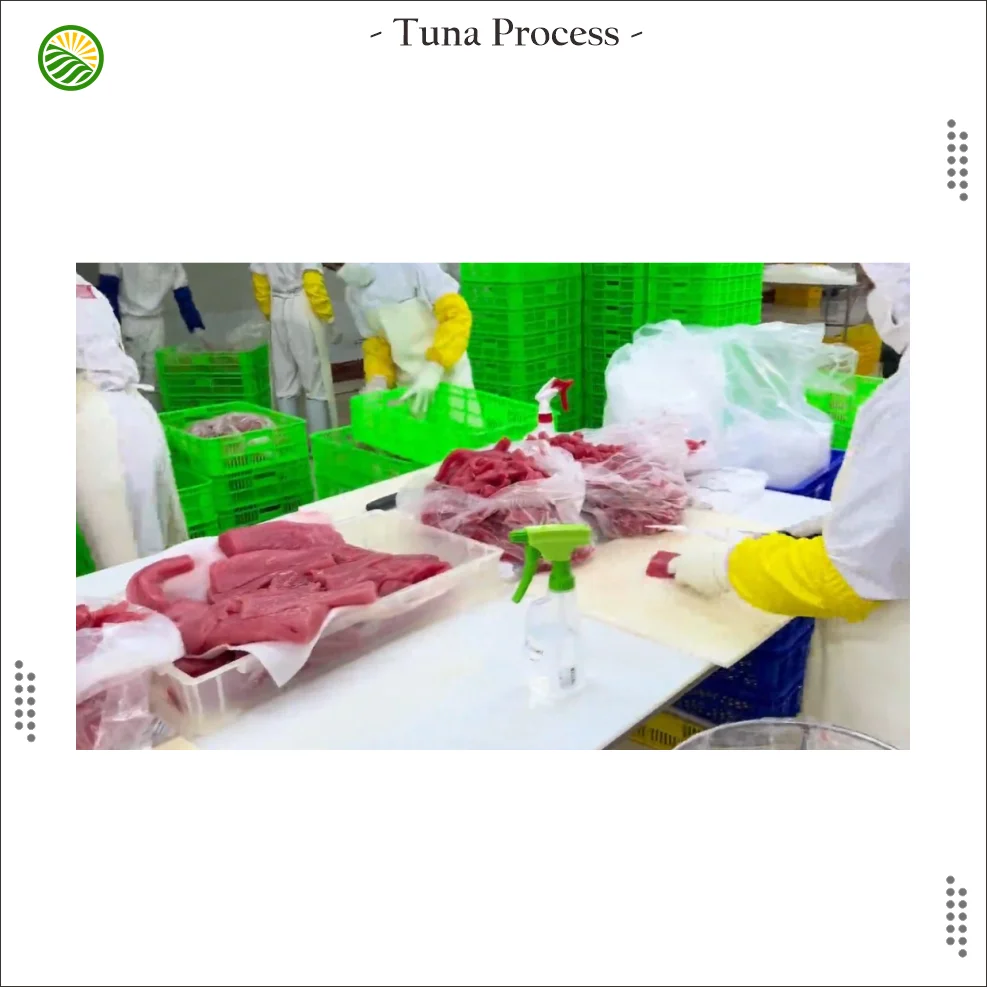 Frozen Tuna Ground Meat from Indonesia Export Quality  of  Yellow Fin Tuna