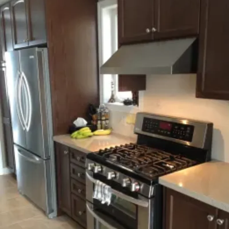 Wall Mount Range Hood with Ducted Convertible Ductless Ceiling Chimney-Style Stove Vent, LEDs Light