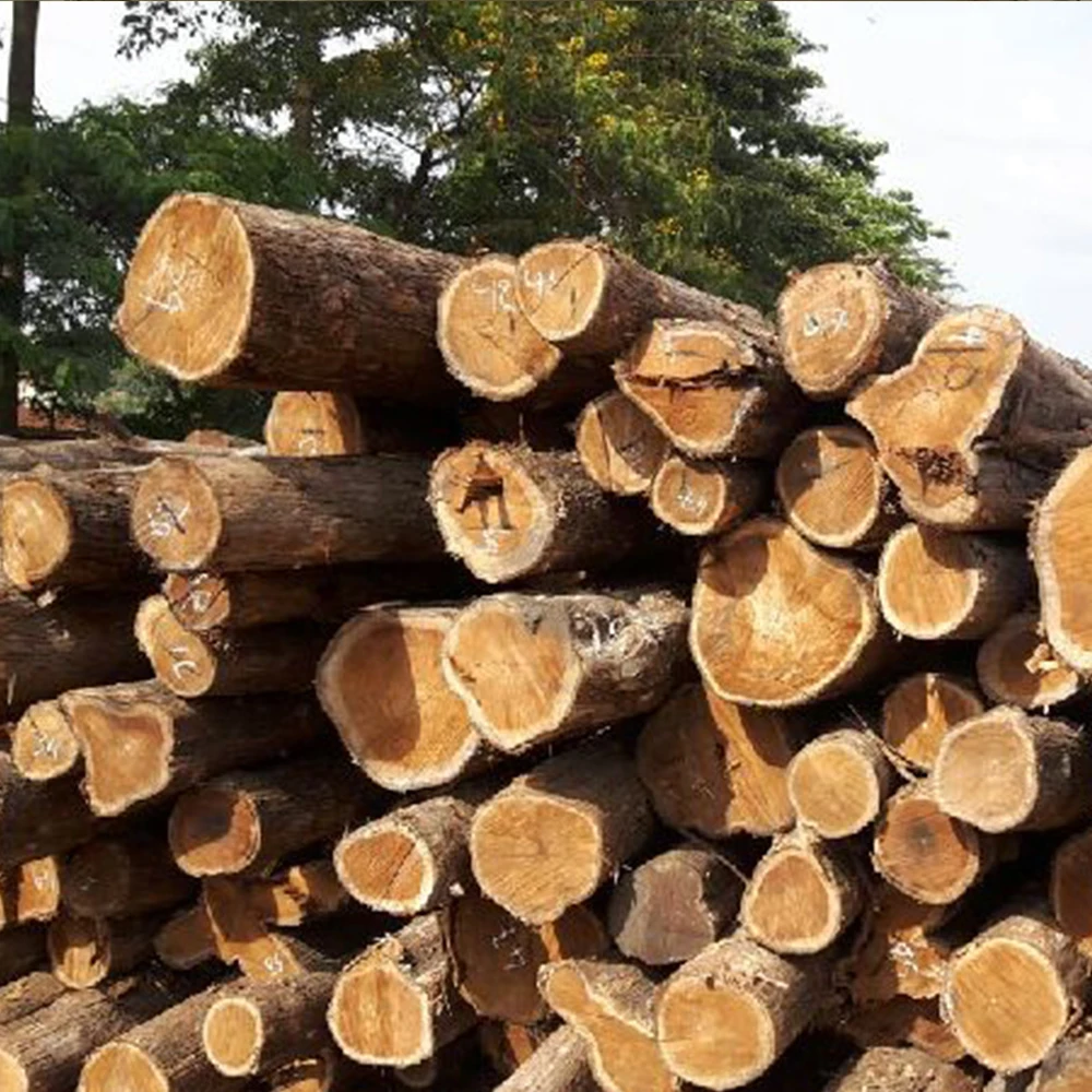 Оптовая продажа круглого деревянного бревна из твердого тикового дерева Вьетнама по самой дешевой цене