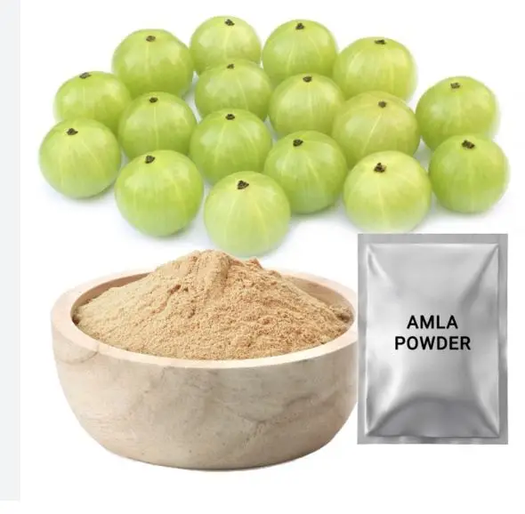 High Quality Iron Rich Amla Powder used for Body Health Wholesale Manufacturers and Exporters from India with Customized Packing