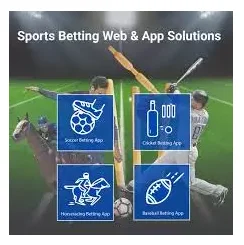 Программное обеспечение для мобильных приложений для спортивных ставок с интеллектуальной функцией и индивидуальным дизайном для продажи, производство в Индии