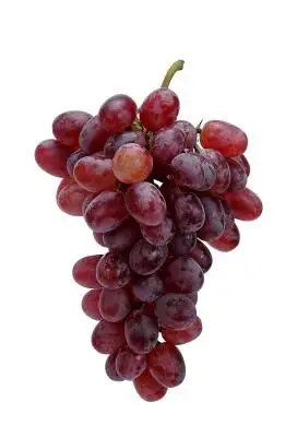 Fresh Grapes hy.jpg