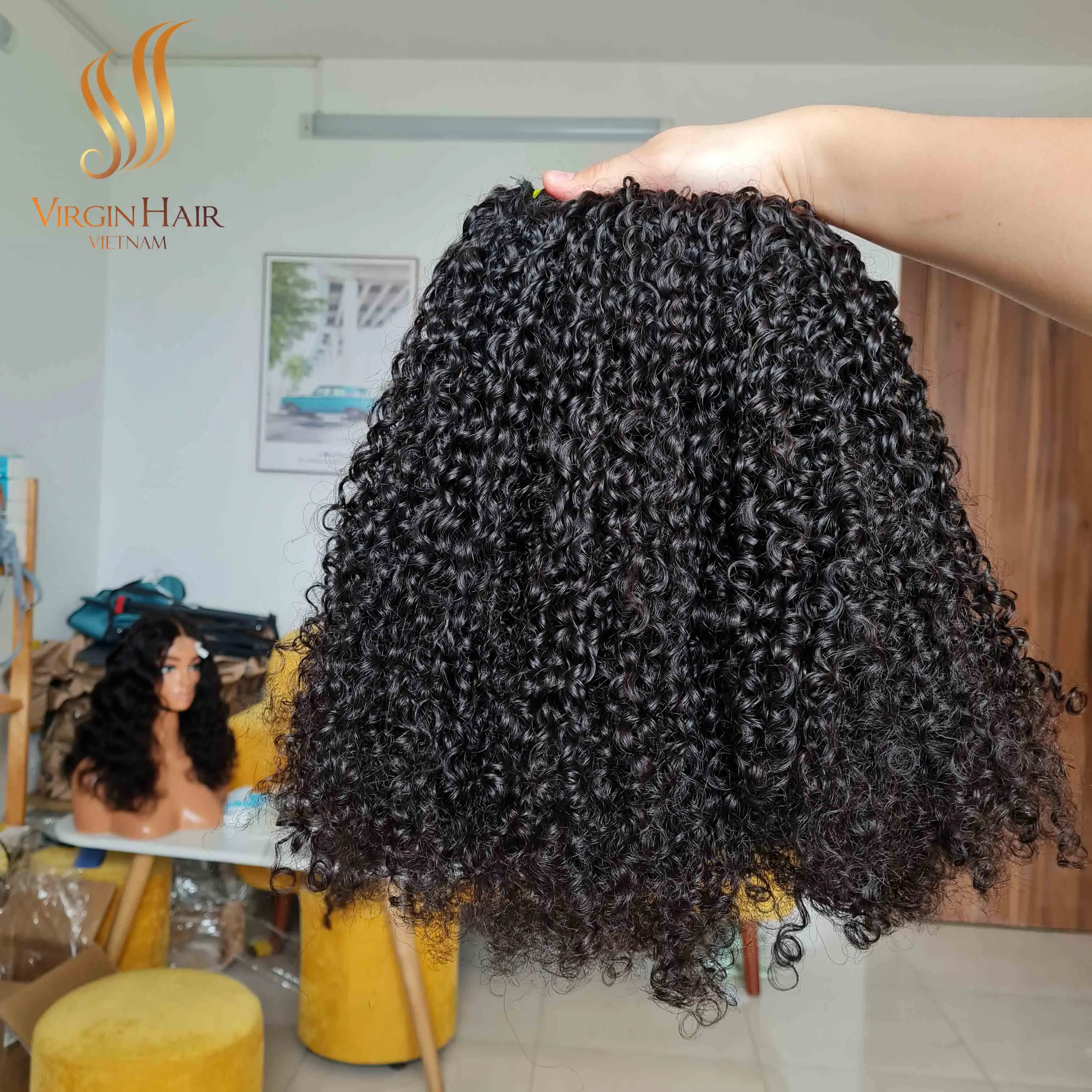 Super Double Drawn Vietnamese Hair Pixie Curls Human Hair Bundles 5x5 Hd Lace Closure Wig