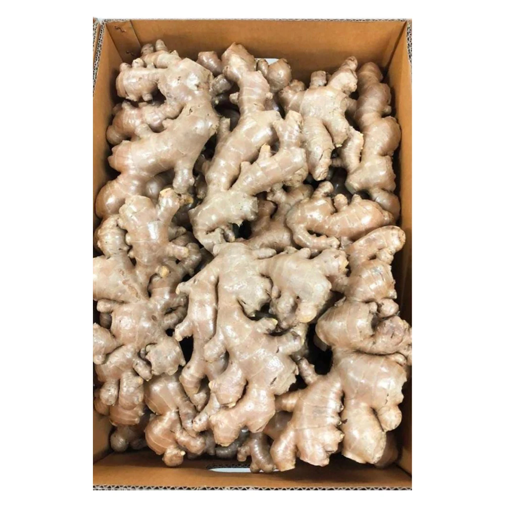 Premium Fresh Ginger High Quality Thai Vegetable from Thailand  Hight Grade Fresh Ginger in Carton