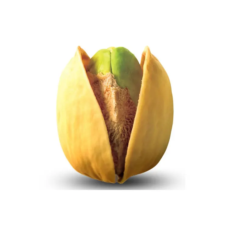 green kernel pistachio without shell raw pistachio nuts for sale
