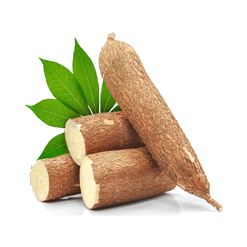 Fresh Cassava / Tapioca / Manioc / Yucca Roots / Casabe for sale