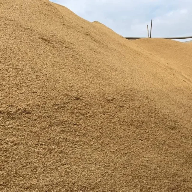 RAW RICE HUSK FROM VIET NAM BULK QUANTITY Can Be Used As Wood Pellets Fuel