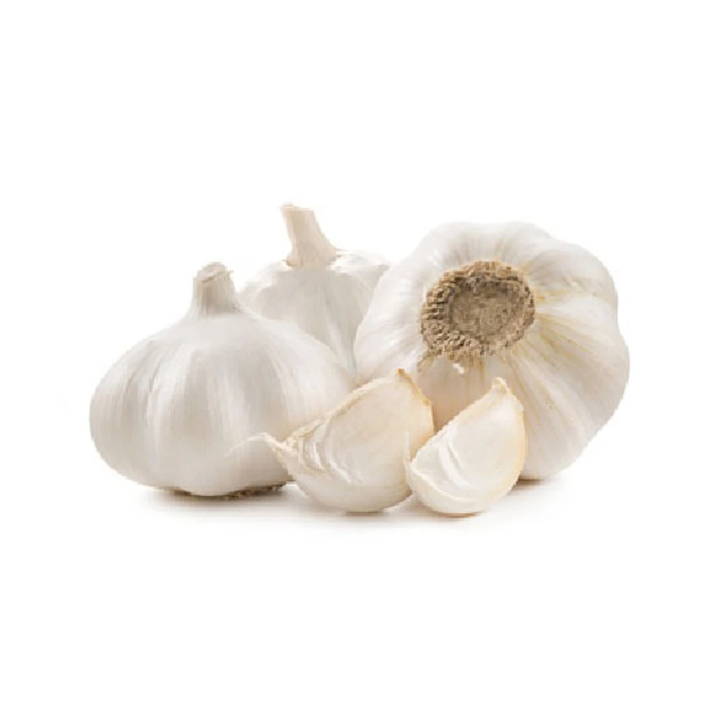 Fresh Pure White Normal White Purple White garlic supplier