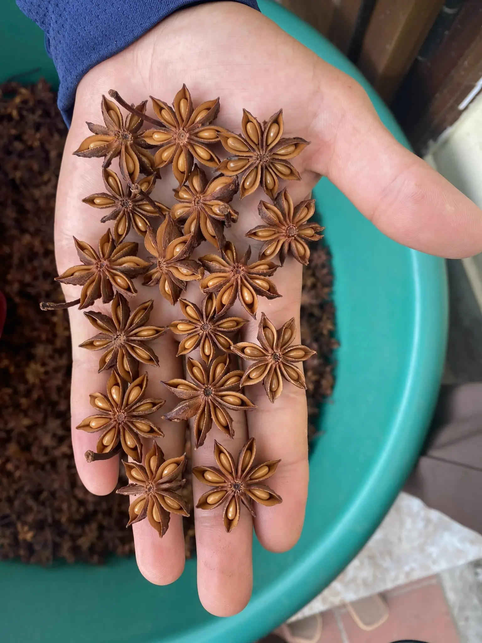 Star Anise, Cinnamon White Pepper Black-pepper spices herbs Wholesale Prices For Export - Whatsapp Mr. David +84 986778999