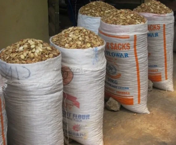 Ogbono forsale OEM factory price maximum supply ability