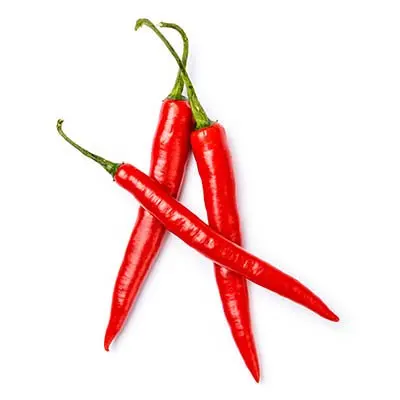 Biggest Sale Super Spicy Fresh Chili - Best Quality Organic Fresh Chili - Export from Vietnam