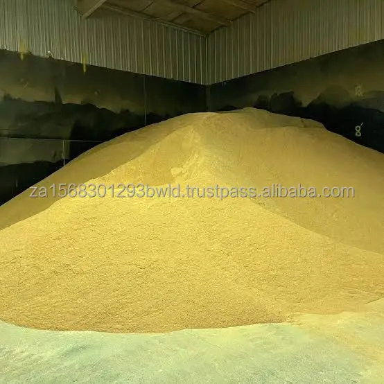High-Nutritional White Corn - Ideal for Manufacturing and Feed - Nutrient-Rich Yellow Corn - Perfect for Feed and Processing