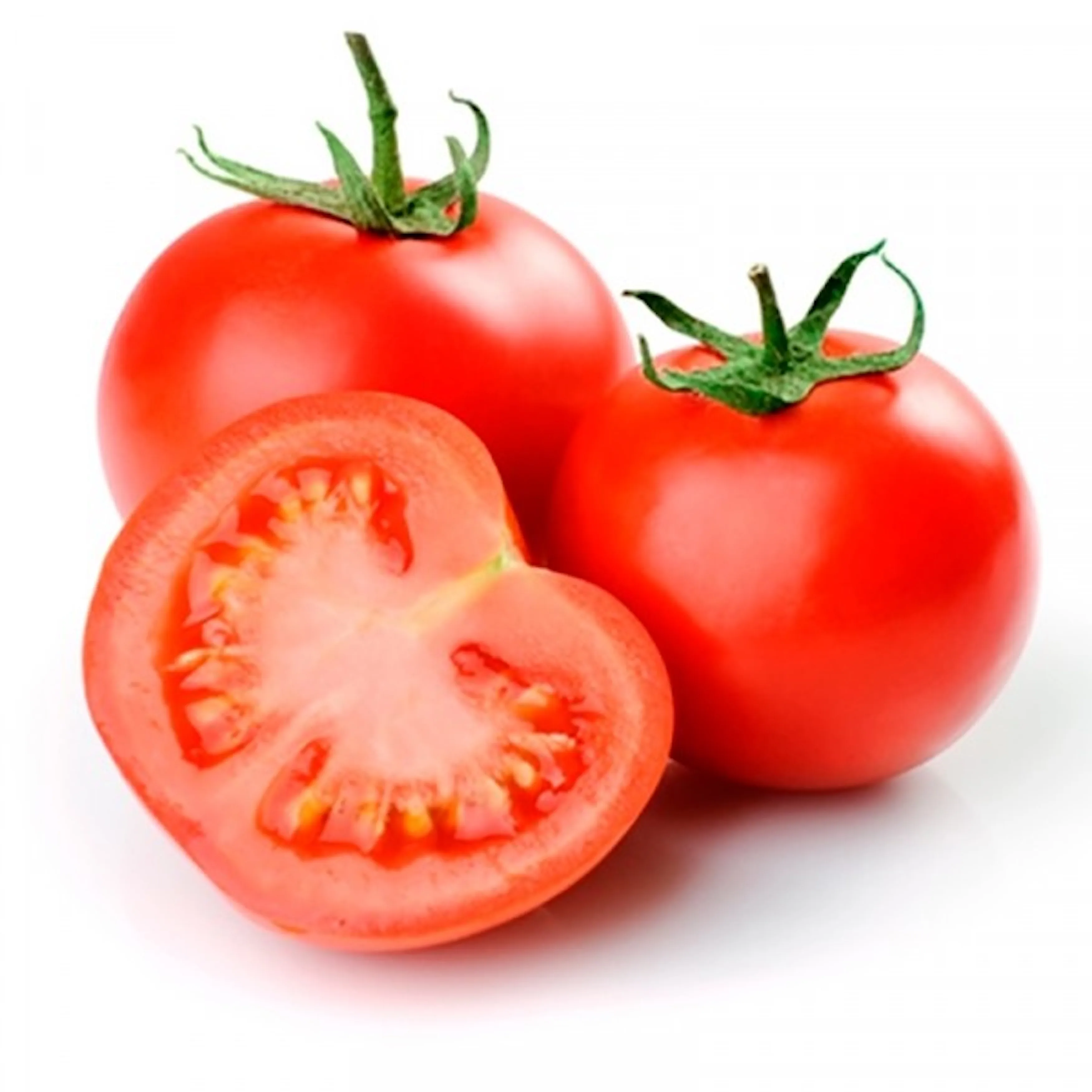 Fresh Delicious High Quality Red Tomato For Sales