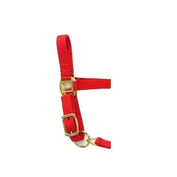 Nylon Halter Red and Black Color With Designer Padded Nose Band Halter intelligent all size available