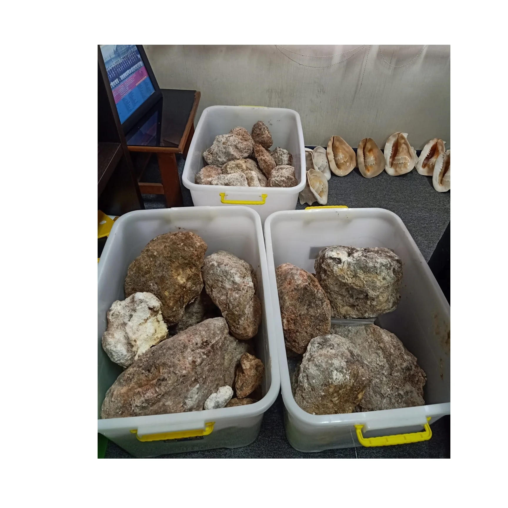 Ambergris Pure Synthetic Ambergris Sweet Soil Wholesales Price Bulk Supplier White Product Sell Whale Ambergris