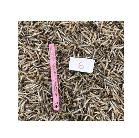 WHOLESALE DRIED DRY MEDIUM SIZE 4CM ANCHOVY FISH FOR FOOD