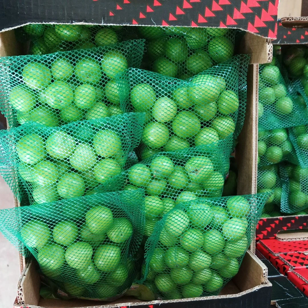 GREEN PLUMS WHOLESALE TURKEY ORIGIN FRESH AND DELICIOUS GREEN PLUM FRUIT VEGETABLE FOOD HIGH QUALITY AGROWELL TURKISHGOODS