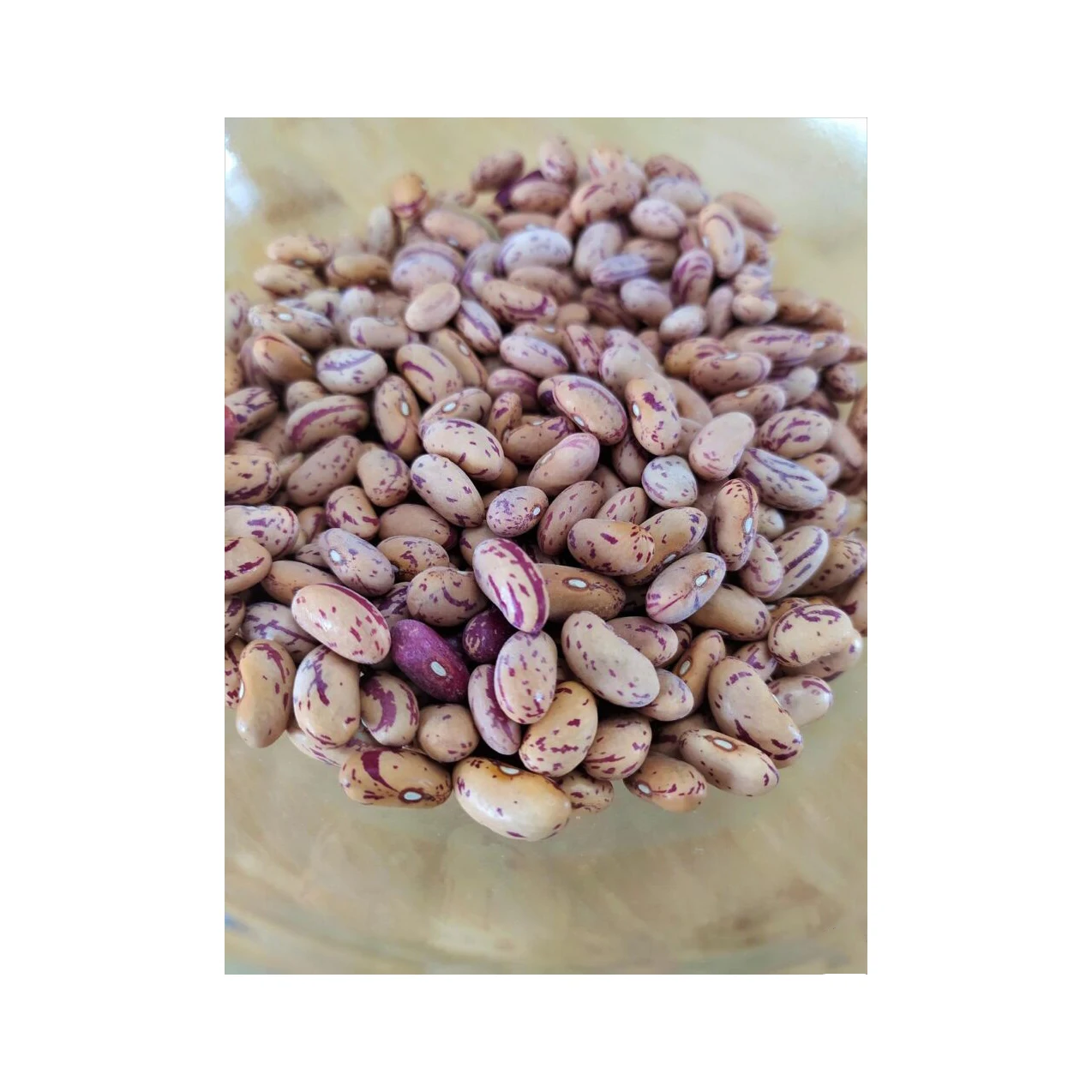 Widely Used Superior Quality Kidney Pinto Beans Wholesale Light Speckled Kidney Bean