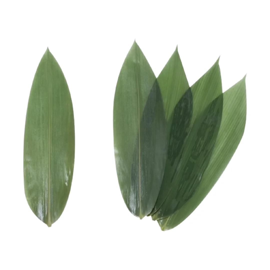 Wholesale Bamboo Leaves Artificial Bamboo Leaves For Exporting High Quality