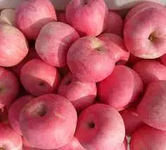 Quality  New Crop Natural Red Fuji Apple