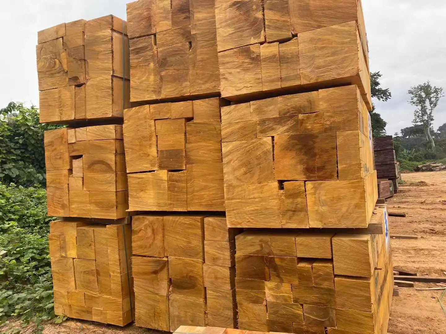 Bilinga sawn timber from Gabon, High quality with low price