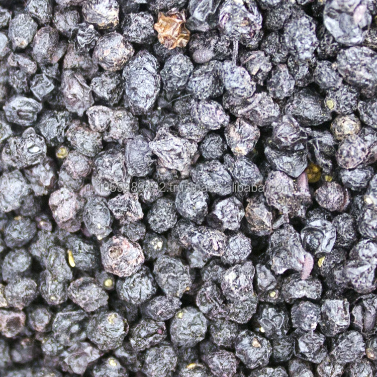 Whole dried elderberry fruits ecological product from Siberia good quality from manufacturer elderberry for sale