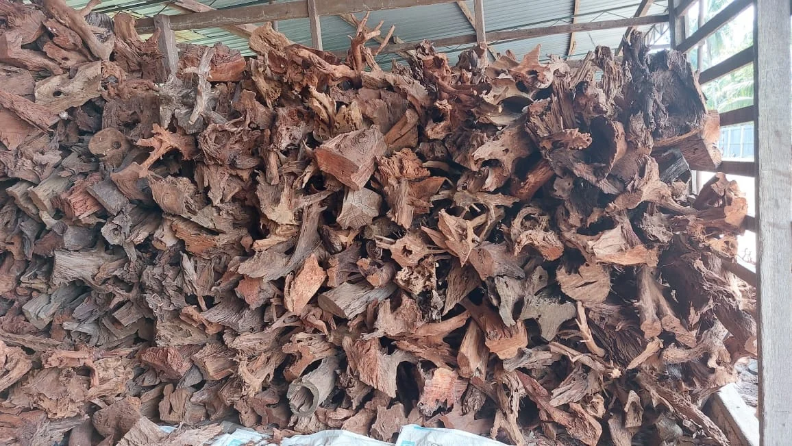 Hot selling Malaysian Driftwood Aquarium & Accessories Tank Decoration Tough Wooden Mangrove Tropical Fish Furniture Lake River