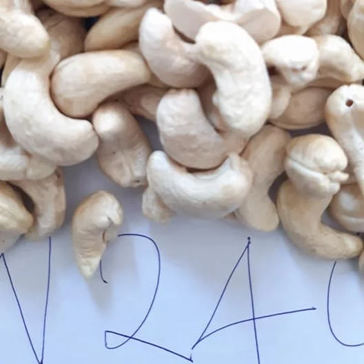 Cashew Nuts W320 W240  Dried Raw /Cashew Nuts W320 W240 Raw OEM Dry Nuts Daily  And Seeds Dried Fruits