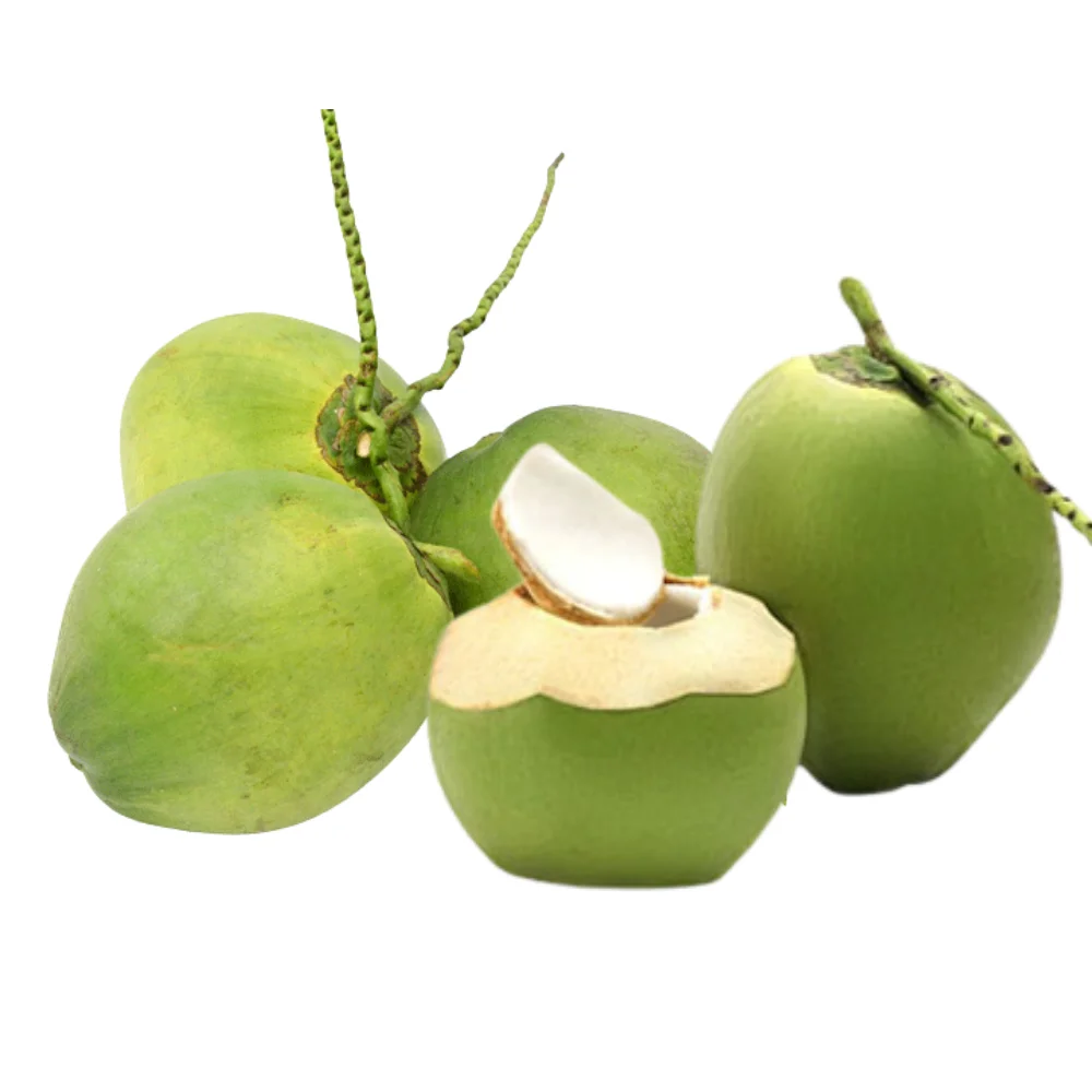 Fresh Young Coconut Wholesale for Drinking and Cooking Premium Quality from Viet Nam Manufacturer