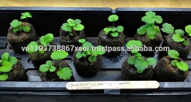 Органические пеллеты кокоса