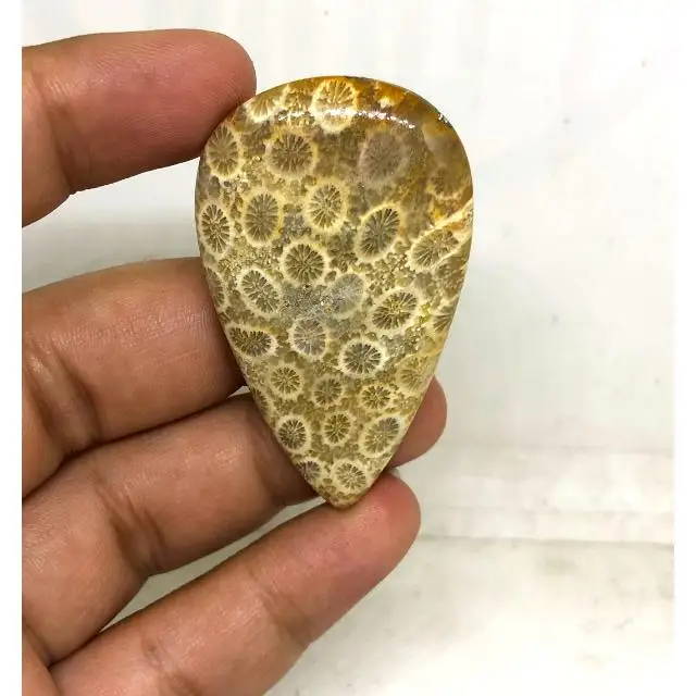 Best Beautiful 100%Natural  Wholesale Cabochon Loose Gemstone Cabochon Fossilized Coral Gemstone for Jewelry Making luxury stone