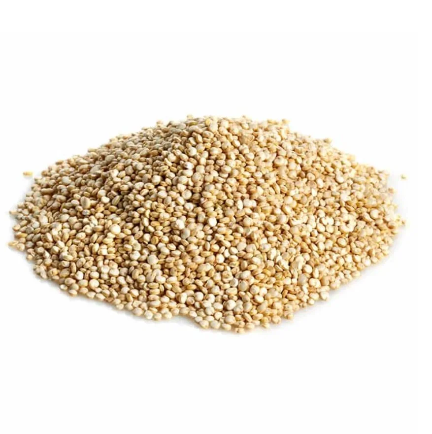 Premium Quality Pseudocereal Grains Sale Get Your Superfood Grains