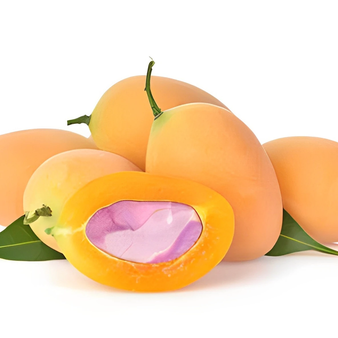 Marine Plum Fresh Fruit From Thailand Natural Sweet Fresh plums Thailand Best selling Ready to export