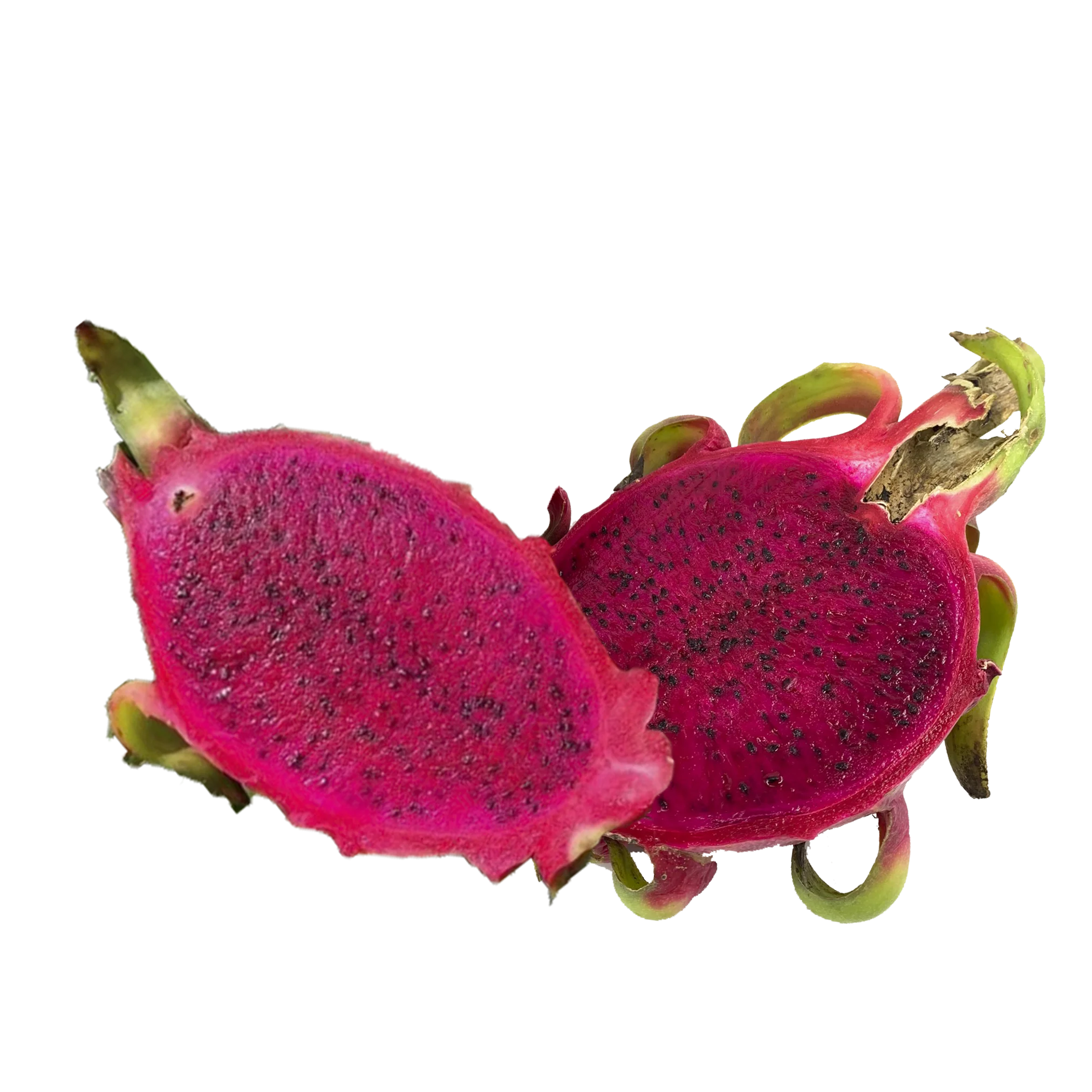 High Quality Tropical Fresh Red Dragon Fruit Gift Sweet Bulk Sales Carton Box Wooden Packaging Made In Vietnam Manufacturer