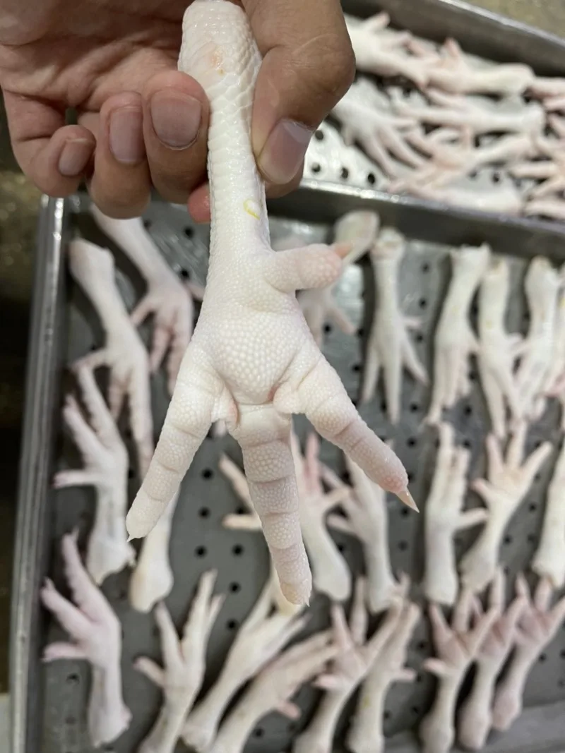 Chicken feet chicken frozen chicken paw with the best price 2022