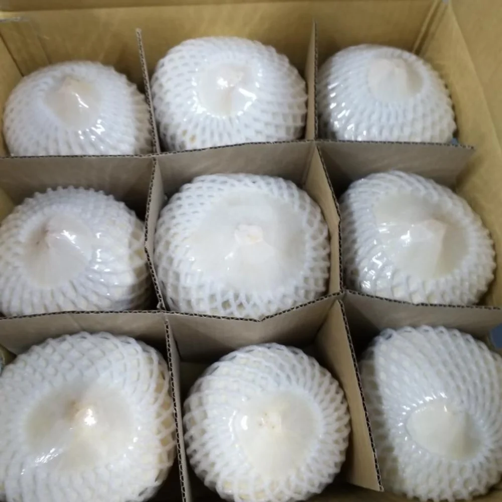 [Best Selling 2022] Top Quality Wholesale Good Price Organic Fresh Young Coconut 100% From Viet Nam